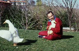 They accept to be cuddled, but while Pio Pis is more tolerant of human contact, Clotildone will never completely accept it...