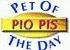 Awarded "Pet Of The Day" September, 3rd, 1998