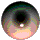 zAniEye.GIF (10790 bytes)
