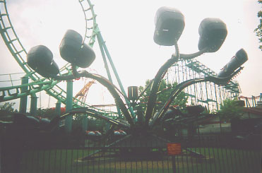 The Spider