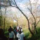 Along the Platte River