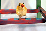 papier-mache chickie!
