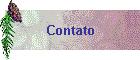 Contato