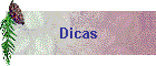Dicas