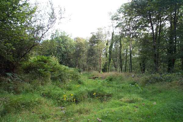 Location of Dwellings Inside the Ring Fort