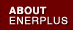 About Enerplus