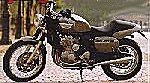 Ascot T-bird