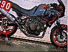 Kinky: race-converted Tiger