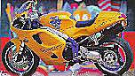 RAT T595