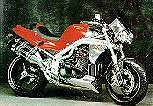 Beauty Roadracing T509