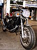 T-bird Sport++