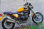 Triumph's own Tbird Sport