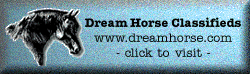 DreamHorse.com