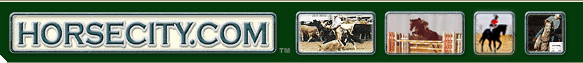 HorseCity.com