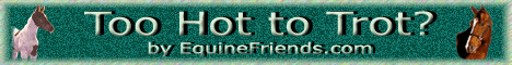 2HotToTrot.com