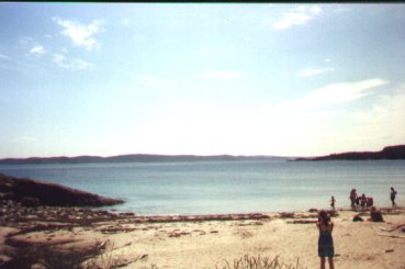 beach.jpg (15685 bytes)