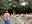 fwzoo15.jpg (77k bytes)