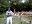 fwzoo16.jpg (74k bytes)