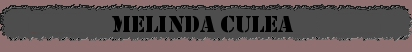Melinda Culea Articles