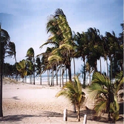 Fortaleza - Praia do Futuro