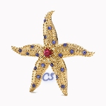 Estrela do Mar
