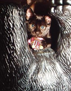 Cleo
