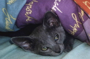 Delphy - 5 mths old