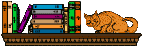 bookshelf