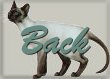 butt07.jpg - Back [3.4k'