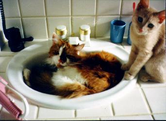 Bo and Peaches