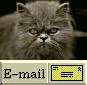 Send us email!