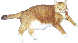 Okay, so I'm not so slim.