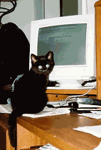 I only answered SOME of the email!