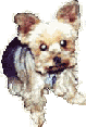mitz2g.gif - Mitzi [7.9k]