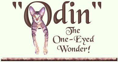 "Odin" the one-eyed wonder!