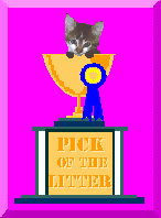 Pick of the Litter Award