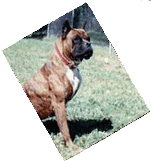 Rascal - 1993