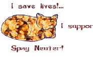 Spay or Neuter you pets!