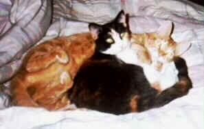Wiley and Friend