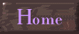 home button
