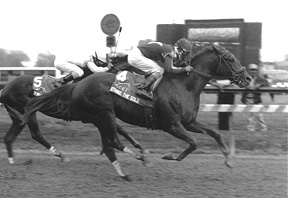 strikie.jpg (21894 bytes)