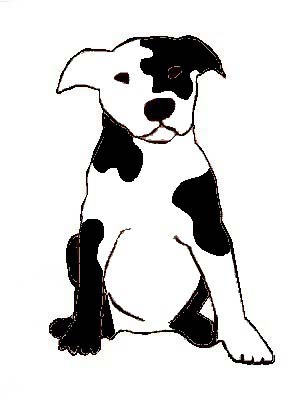 Name Brittpitt,Female,breed Pit bull, From Skennel