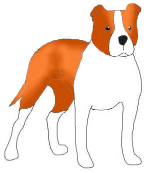 Name: Jupiter Breed : ? , Male ,from Starswept