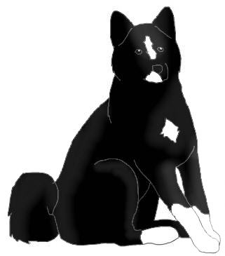 NAme: Keeta, Breed : ?, From Starswept