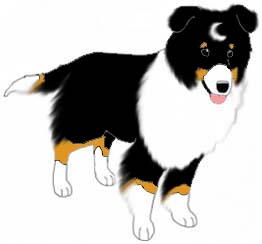 Name: Moonie, Male, Breed Collie, From starswept.