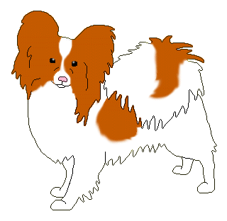 Name: Peppy, Female, Breed: Papillion, From Starswept.