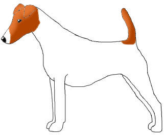 Name: Rosco, Male, Breed : ?, From Starswept