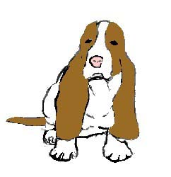 Name: Socks, Male, Basset hound, from Skennel