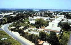Balcal� Campus: Administrative Units of Rector's Office