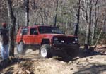 On Rocky Mount in Uwharrie Nat. Forrest